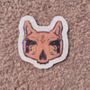 Orange Cat Skull