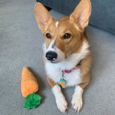 Carrot Key Tag